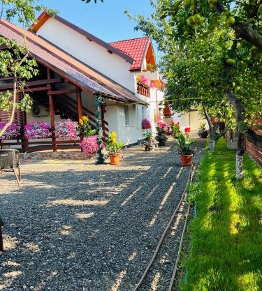 Cinema Villa Elena#2