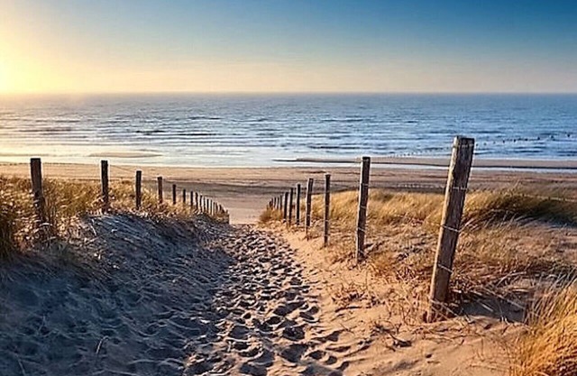 Close to beaches, Villa 4pers in the pines, with swimming pool