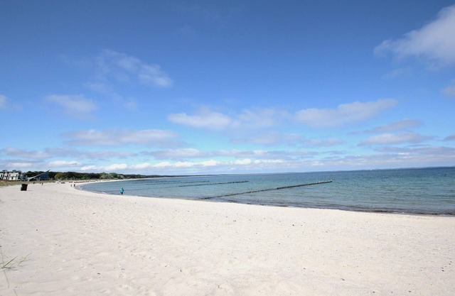 Close to the beach, thatched roof, with garden, sauna, dog-friendly - Ferienhaus Stranddistel