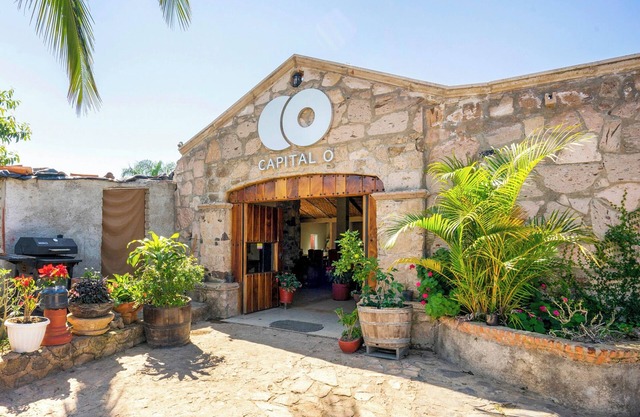 Collection O Hotel Monte Agave