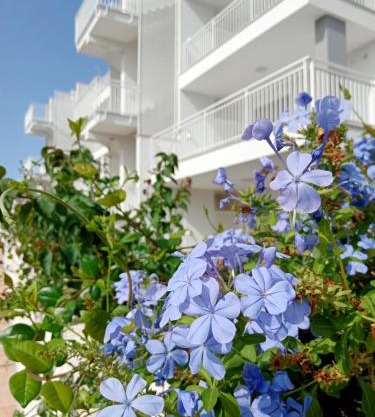 Color Dream Residence