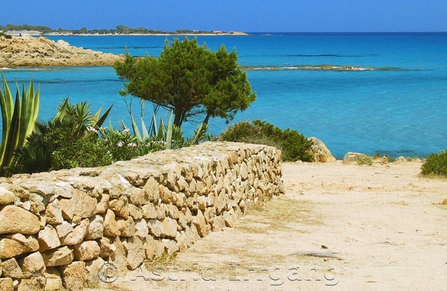 Comfortable apartment with a little garden, not far from beautiful beaches