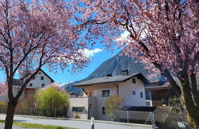 Cosy apartment for 7 guests with WIFI, TV and terrace