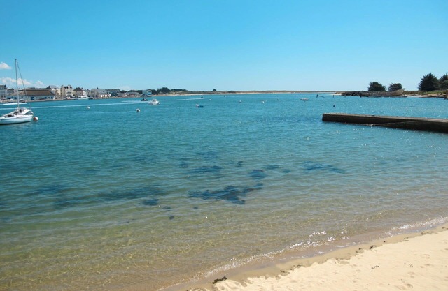 Cosy apartment in villa for 4 people with WIFI, TV, terrace and pets allowed