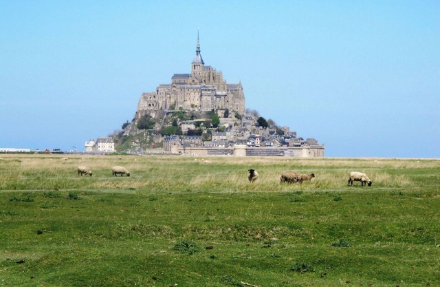 Cosy apartment in villa for 3 people with WIFI, TV and terrace