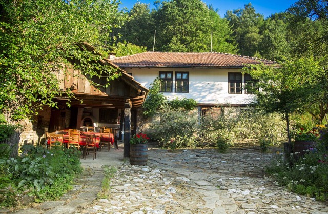 Cosy Double with wooded hillside view