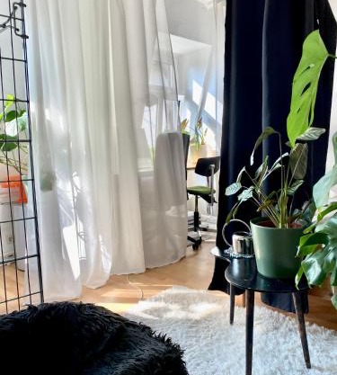 Cosy Sunset Flat - Kongress Palais & Herkules View