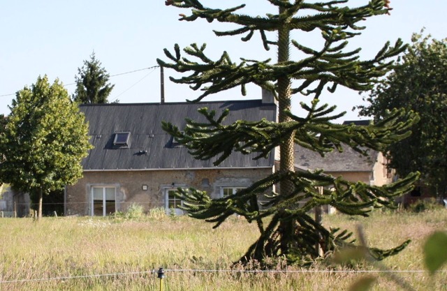 Cottage 6/8 pers. Jupilles, 50m zoo of the Arrow, 30 minutes from Le Mans, Bercé forest .