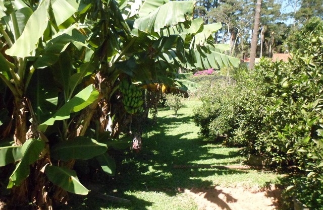 Cottage for rent for WEEKENDS AND HOLIDAYS