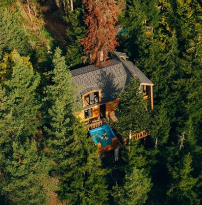 Cottage Galileo in Abastumani