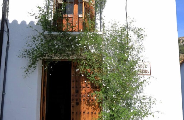 Cottage in grazalema