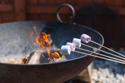 Countryside lodges at WOODS MEADOW, One with hot tub, All sleep 5 or 6 and have Wifi, En suite, Kitchenette, Fire Pits, Children's Play Area, Tennis, Surrounded by Nature - your peaceful family retreat nr Brands Hatch Kent!