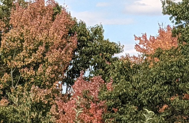 County cabin near Buffalo River National Park.