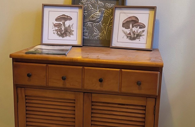 Cozy 1-bedroom apartment in charming Allegany with WiFi