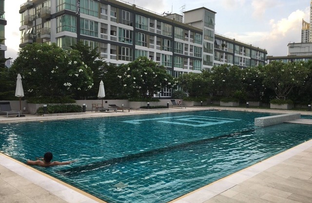 Cozy and minimal big studio room with 2 sides of full glass wall