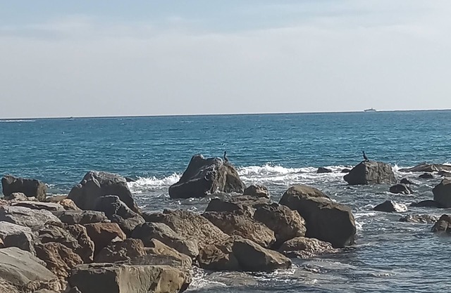 Cozy and quiet lodging in the center two minutes from the Ligurian Sea.