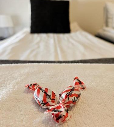 Cozy Apartment with Sauna near City Center