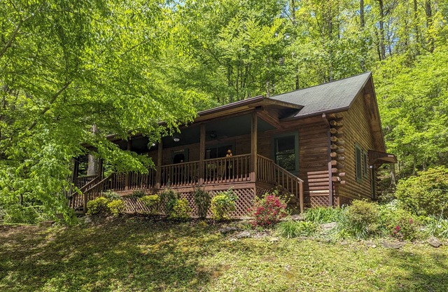 Cozy Blue Ridge Mountain Cabin on 18 Acre Lot