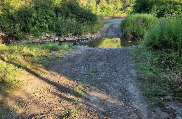 Cozy Cabin by the Creek!