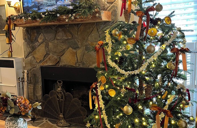 Cozy Christmas Cottage on Linville River- Fireplace & pet-friendly