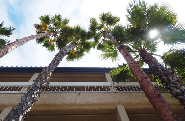 Cozy Coastal Stay | 2 Queens | Near Seal Beach Marina