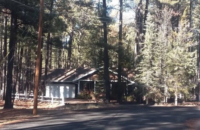 Cozy & Comfortable Cabin in The Pinetop White Mountains - LOW CLEANING FEE