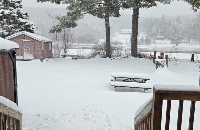 Cozy Cottage on the Nashwaak River, access to river and NB Trail system