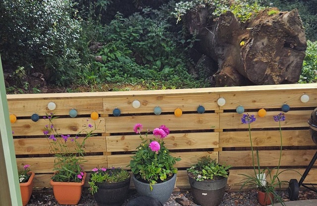 Cozy Dog Friendly Shepherd's Hut in Northampton