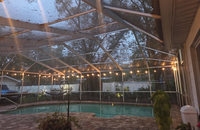 Cozy house in charming Tampa with AC, WiFi