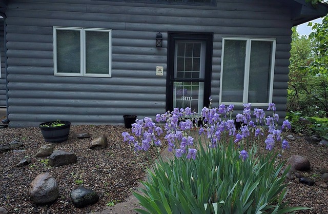 Cozy Lake Chapin Guest House, Two Bedroom, One Bath Quiet Peaceful Setting