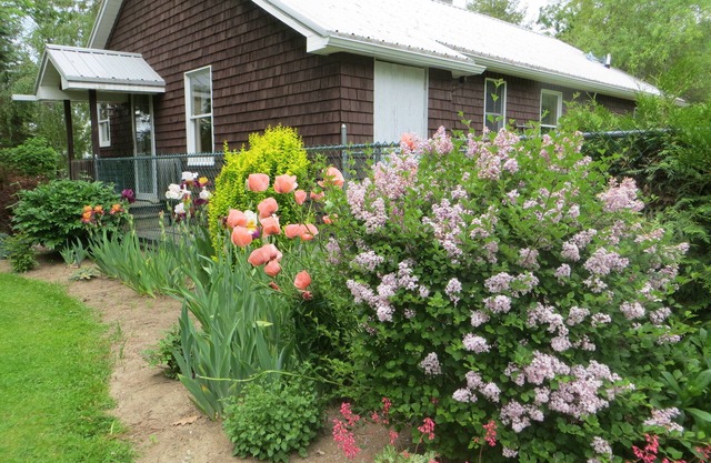 Cozy lakeside cottage.