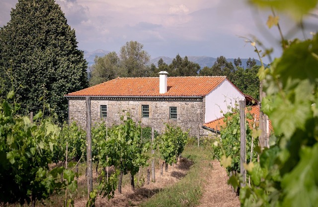 Cozy Mansion in Ponte de Lima with Swimming Pool