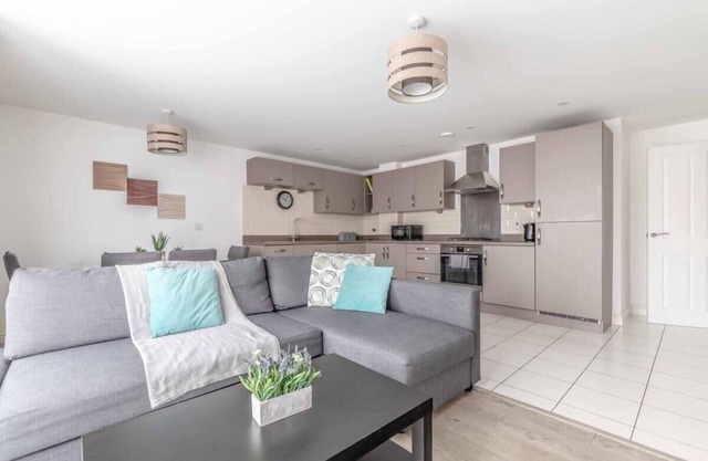 Cozy Modern Apartment in Slough