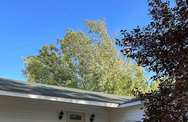 Cozy, quiet cottage in the country with stocked lake access