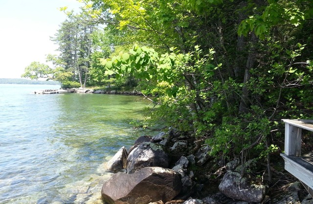 Cozy, Rustic Cottage on Lake Winnipesaukee