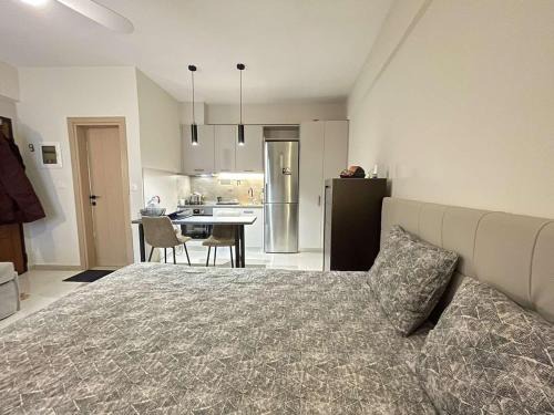Cozy Studio apartment Larissa City Center