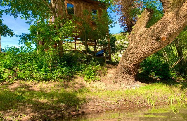 Cozy Treehouse with private sand beach