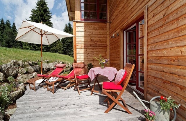 Cozy vacation apartment (40 sqm) in the new organic wooden house and large terrace