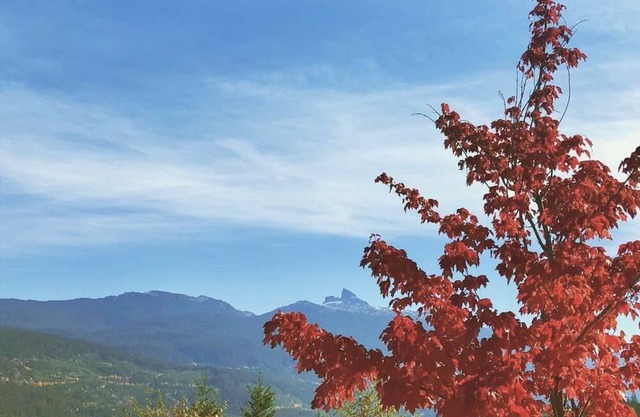 Cozy Whistler RV in the Mountains