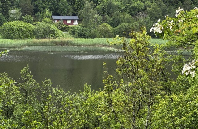 Cozy wilderness cabin at Kynnefjäll – close to lake, nature and hiking trails |SE09081