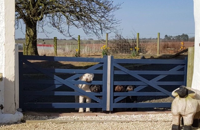 Crofthead Farm House
