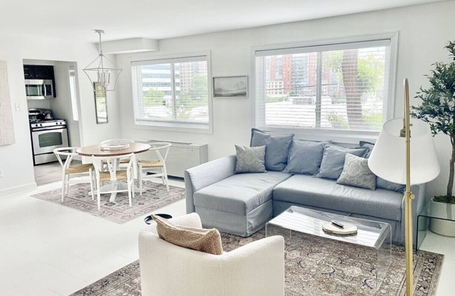 Crystal City Boutique Flats/Free Parking