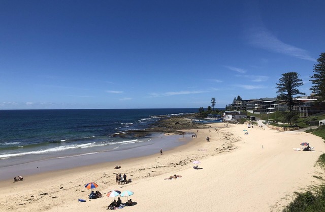 Cute & Cozy Beachfront 1BRM Unit with Ocean Views Sleeps 2 Adults Pet Ok