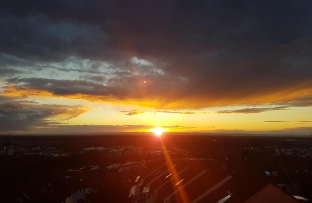 Dachgeschoss in einem Reihenhaus (mit gemeinschaftlichen Räumen)