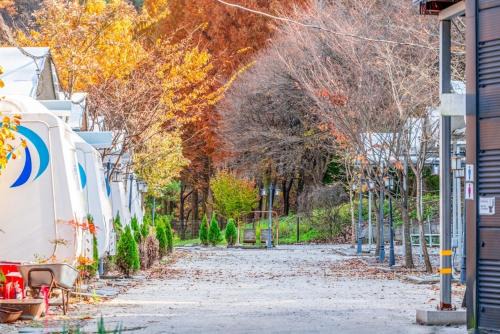 Daejeon Dreaming Farmer Camping Site