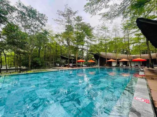 Dai Lai Resort- Forest Villa