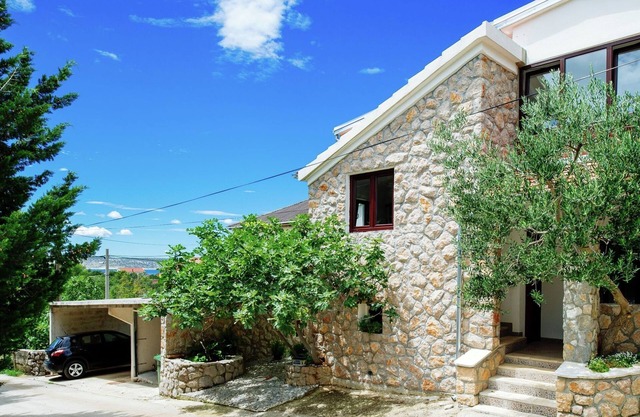 Dalmatian Adventures Await You