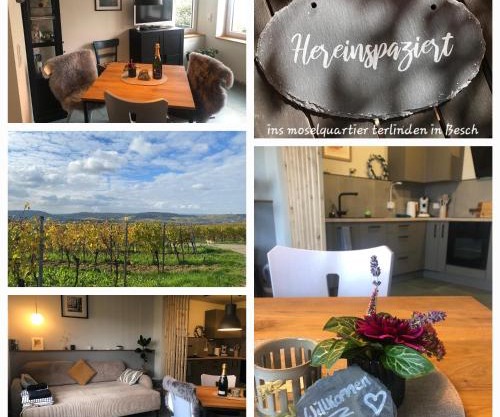 das moselquartier terlinden