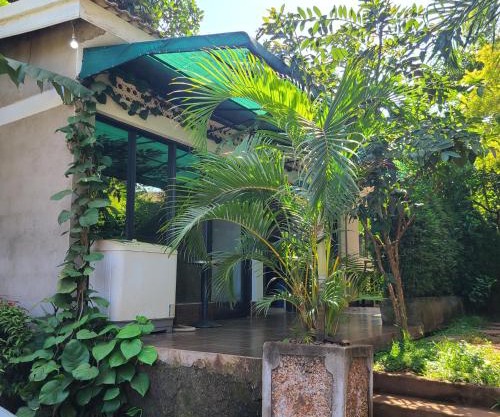 De cottages Garuga road
