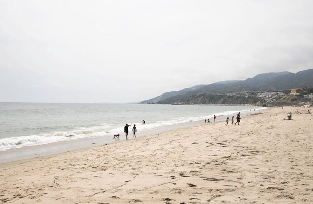 Deluxe Pacific Palisades 1BR w/Pool, Close to Beach, by Blueground
